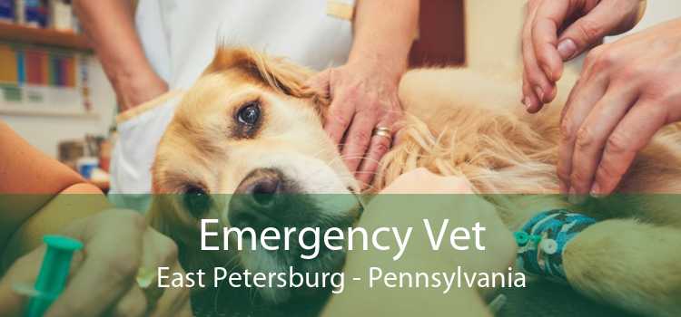 Emergency Vet East Petersburg - Pennsylvania
