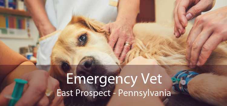 Emergency Vet East Prospect - Pennsylvania