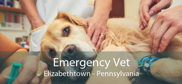 Emergency Vet Elizabethtown - Pennsylvania