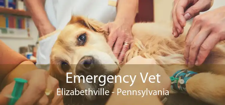 Emergency Vet Elizabethville - Pennsylvania