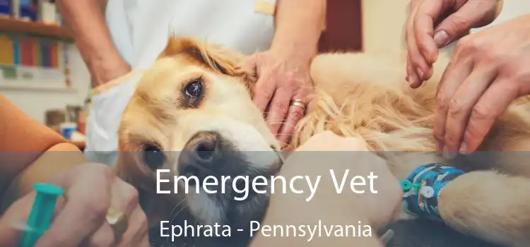 Emergency Vet Ephrata - Pennsylvania