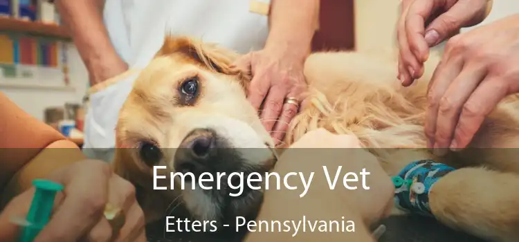 Emergency Vet Etters - Pennsylvania