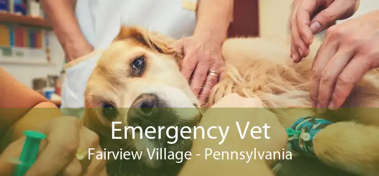 Emergency Vet Fairview Village - Pennsylvania