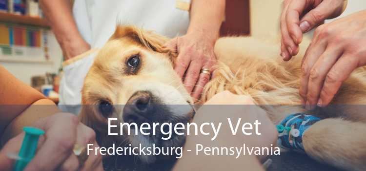 Emergency Vet Fredericksburg - Pennsylvania