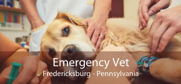 Emergency Vet Fredericksburg - Pennsylvania