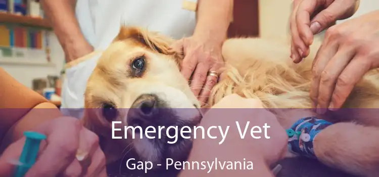 Emergency Vet Gap - Pennsylvania