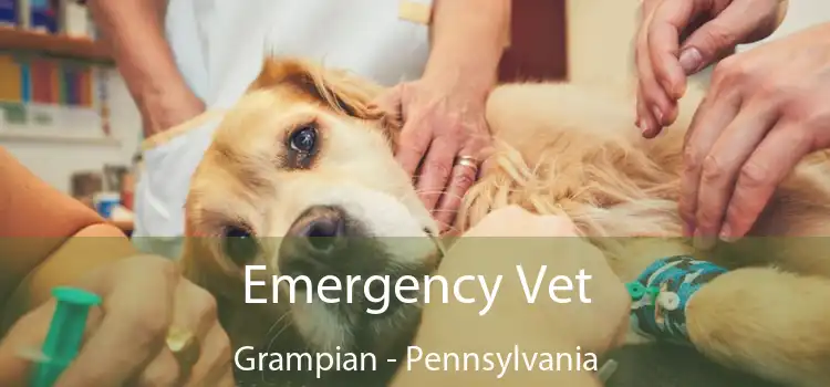 Emergency Vet Grampian - Pennsylvania