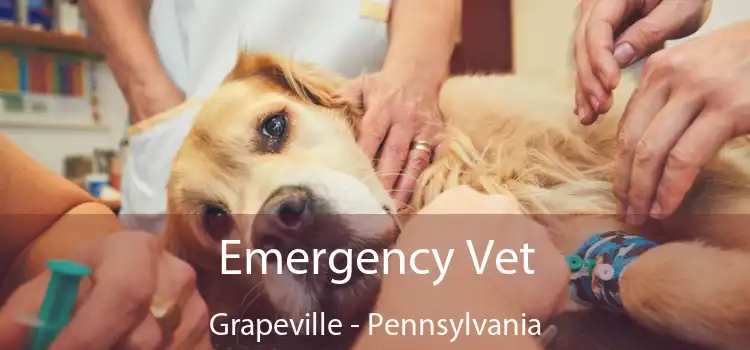 Emergency Vet Grapeville - Pennsylvania