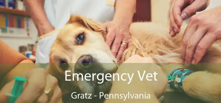 Emergency Vet Gratz - Pennsylvania