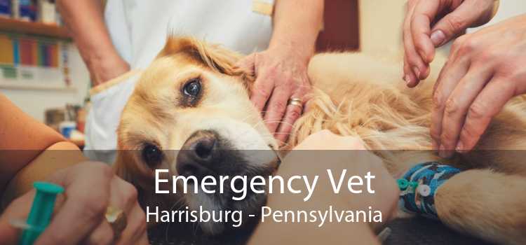 Emergency Vet Harrisburg - Pennsylvania