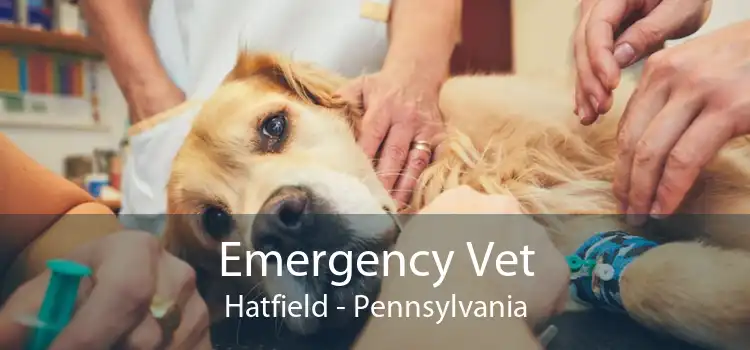 Emergency Vet Hatfield - Pennsylvania