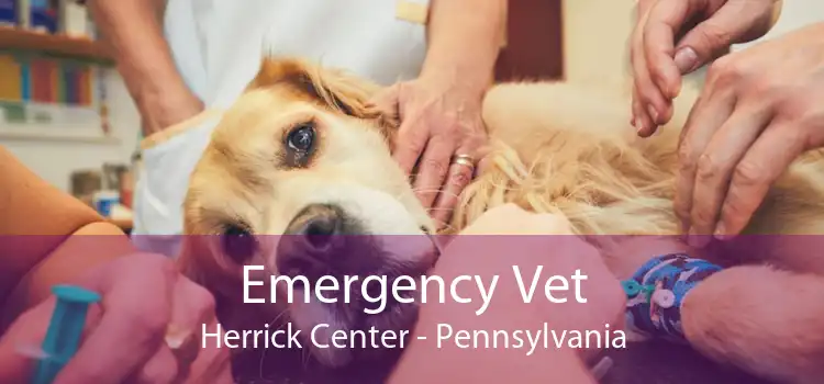 Emergency Vet Herrick Center - Pennsylvania