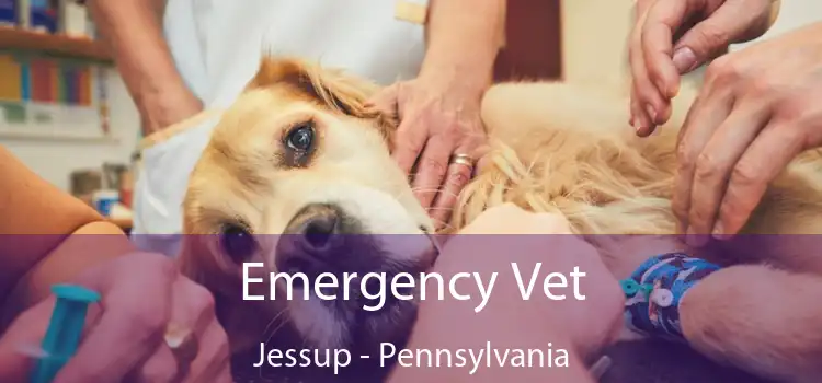 Emergency Vet Jessup - Pennsylvania