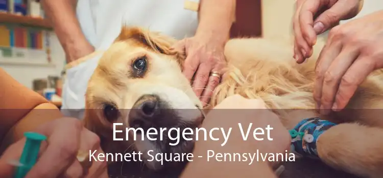 Emergency Vet Kennett Square - Pennsylvania