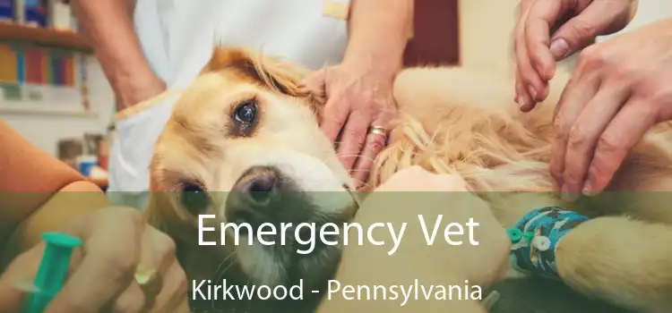 Emergency Vet Kirkwood - Pennsylvania