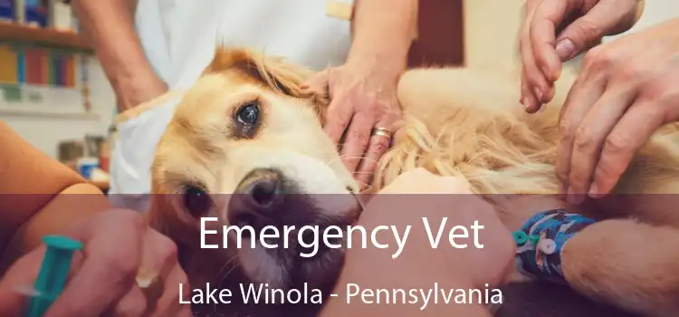 Emergency Vet Lake Winola - Pennsylvania