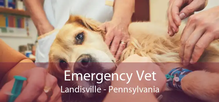 Emergency Vet Landisville - Pennsylvania