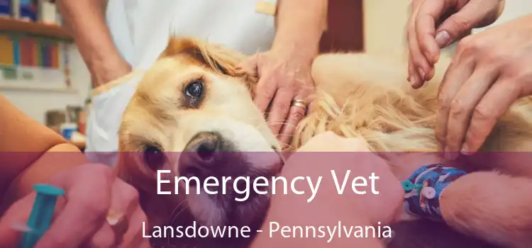 Emergency Vet Lansdowne - Pennsylvania