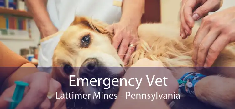 Emergency Vet Lattimer Mines - Pennsylvania