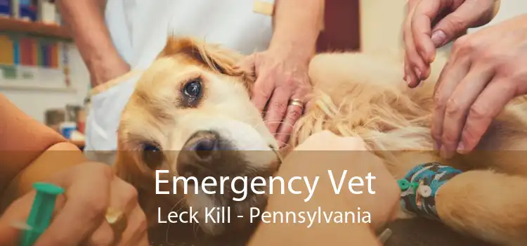 Emergency Vet Leck Kill - Pennsylvania