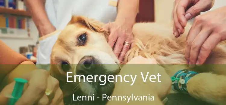 Emergency Vet Lenni - Pennsylvania