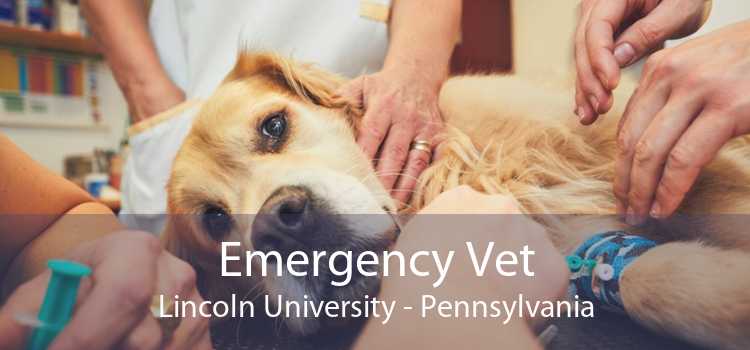 Emergency Vet Lincoln University - Pennsylvania