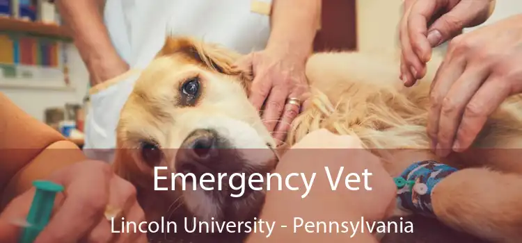 Emergency Vet Lincoln University - Pennsylvania