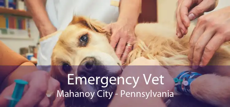 Emergency Vet Mahanoy City - Pennsylvania