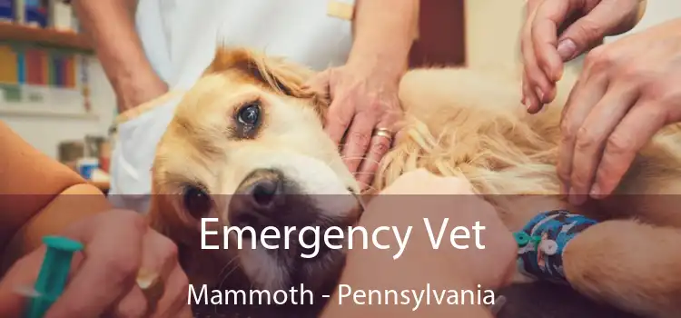 Emergency Vet Mammoth - Pennsylvania