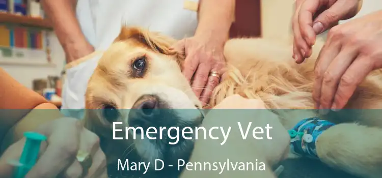 Emergency Vet Mary D - Pennsylvania