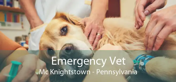 Emergency Vet Mc Knightstown - Pennsylvania