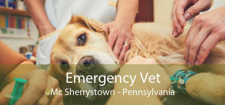 Emergency Vet Mc Sherrystown - Pennsylvania