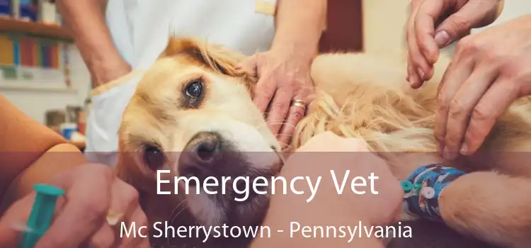 Emergency Vet Mc Sherrystown - Pennsylvania