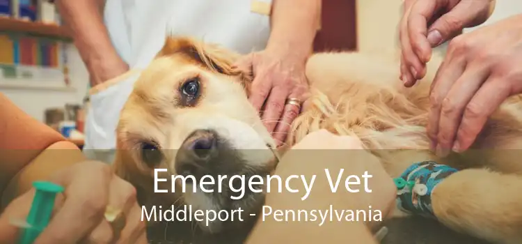 Emergency Vet Middleport - Pennsylvania