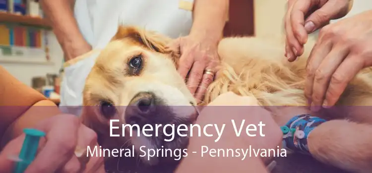 Emergency Vet Mineral Springs - Pennsylvania