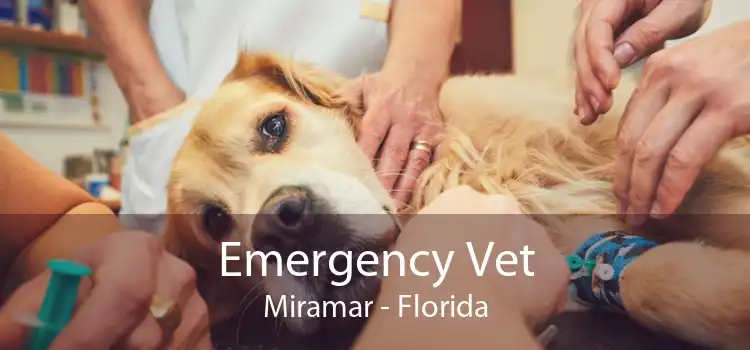 Emergency Vet Miramar - Florida