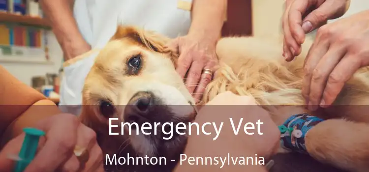 Emergency Vet Mohnton - Pennsylvania