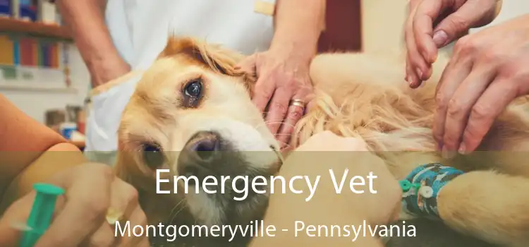 Emergency Vet Montgomeryville - Pennsylvania