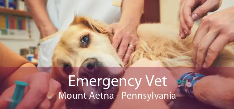 Emergency Vet Mount Aetna - Pennsylvania