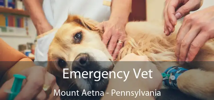 Emergency Vet Mount Aetna - Pennsylvania