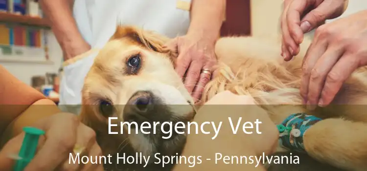 Emergency Vet Mount Holly Springs - Pennsylvania