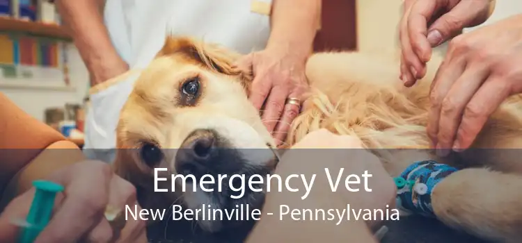 Emergency Vet New Berlinville - Pennsylvania