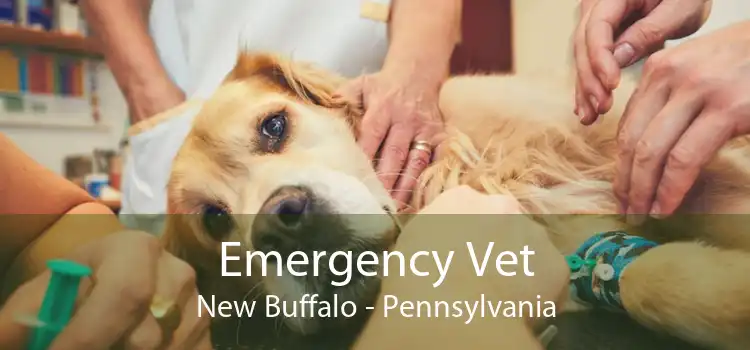Emergency Vet New Buffalo - Pennsylvania