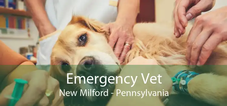 Emergency Vet New Milford - Pennsylvania