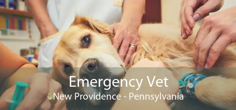 Emergency Vet New Providence - Pennsylvania