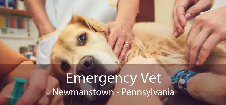 Emergency Vet Newmanstown - Pennsylvania