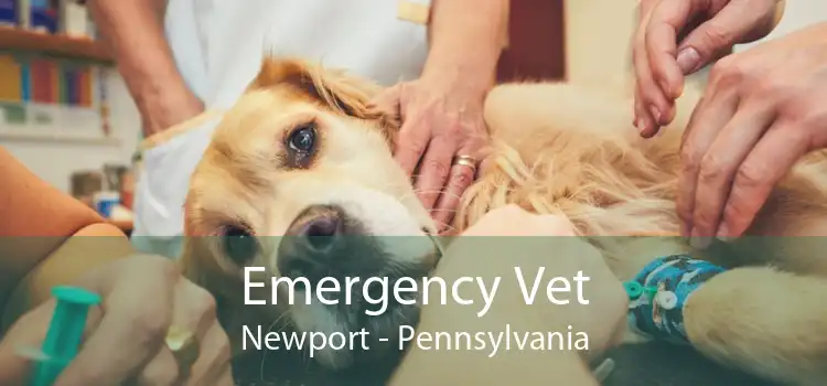 Emergency Vet Newport - Pennsylvania