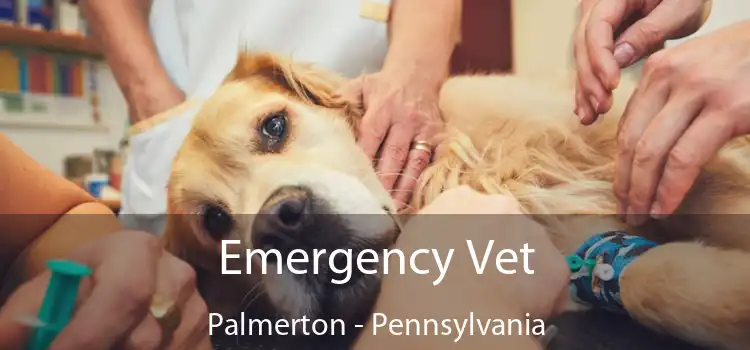 Emergency Vet Palmerton - Pennsylvania