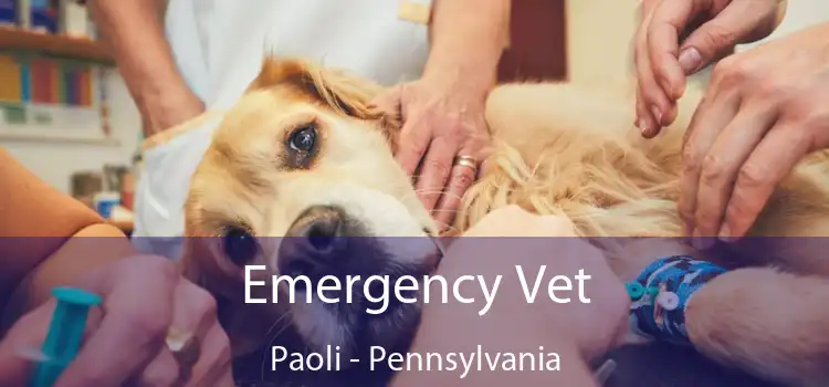 Emergency Vet Paoli - Pennsylvania