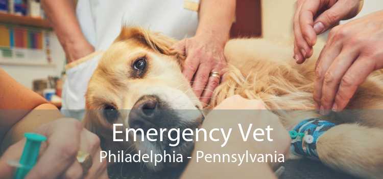 Emergency Vet Philadelphia - Pennsylvania